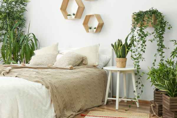Combining Plants with Other Decor Elements