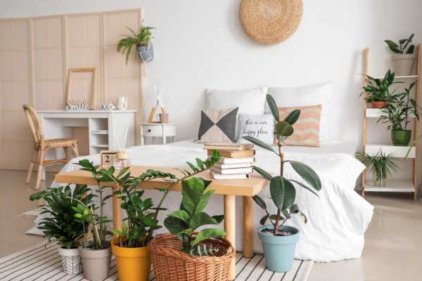 Incorporating Plants into Bedroom Design