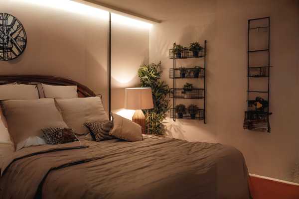 Lighting Considerations for Bedroom Plants