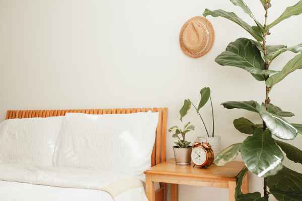 Making Use of Horizontal Surfaces How To Decorate Small Bedroom With Plants