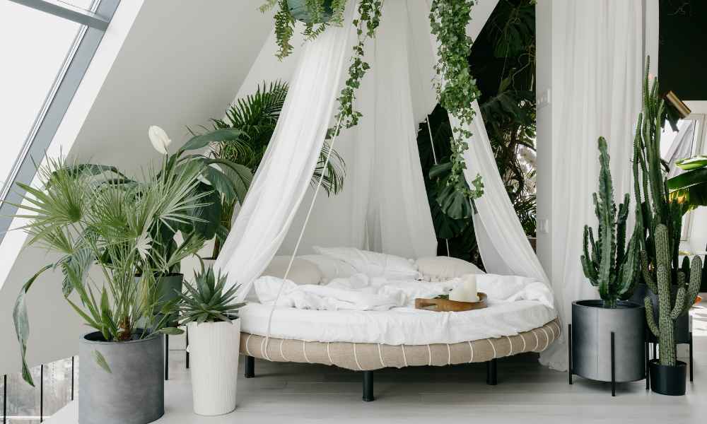 Minimalist Bedroom With Plants