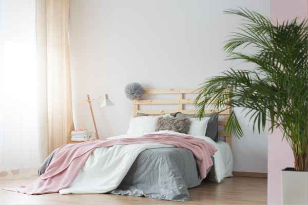 Placement Strategies for Plants in Bedroom