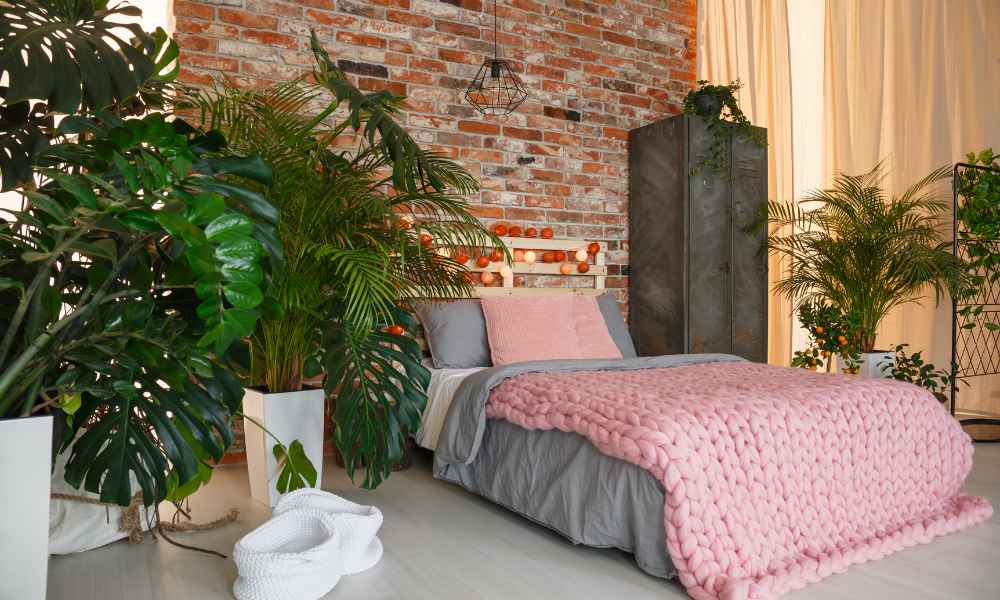 Plants In Bedroom Ideas