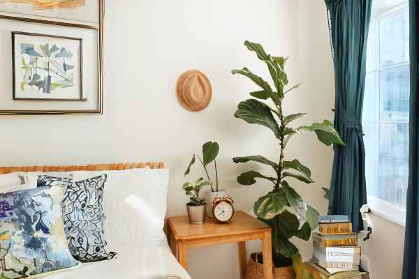 Selecting Artificial Plants for the Bedroom