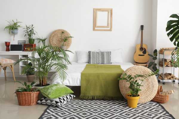 Selecting the Right Plants for Bedrooms