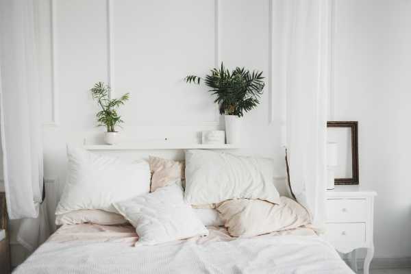 Selecting the Right Plants for a Cozy Bedroom