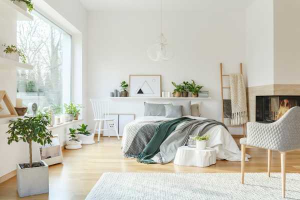 Selecting the Right Plants for a Minimalist Bedroom