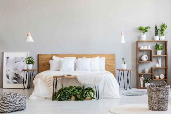 Understanding Space Dynamics How To Decorate Small Bedroom With Plants