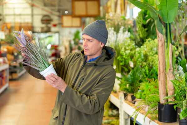 Choosing the Right Artificial Plants