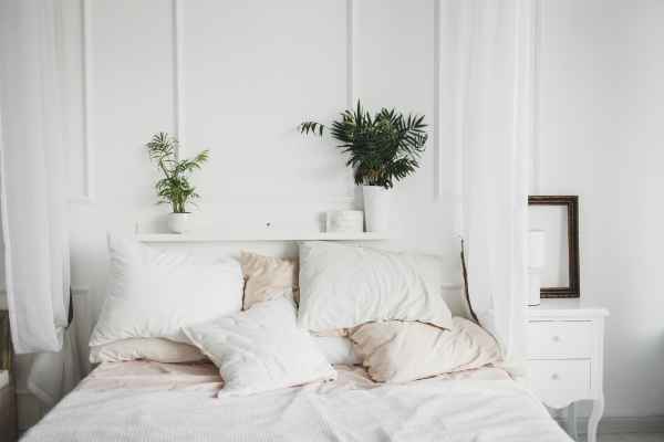 Small Bedroom Plant Decor Ideas