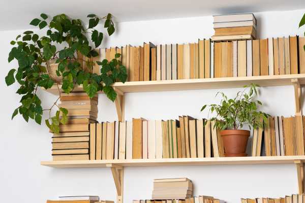 Understanding Space Constraints Bedroom Bookshelves