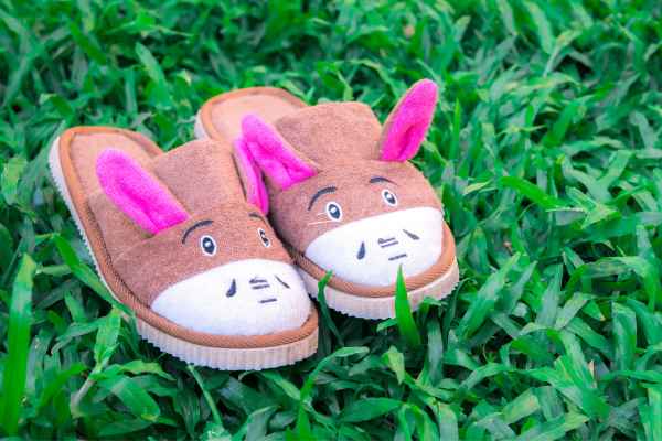 Animal-Themed Slippers