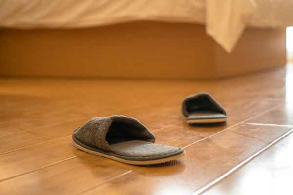 Target Audience Designer Bedroom Slippers